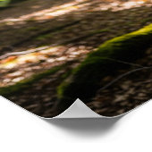 Poster Forêt d'été Cerf (Coin)