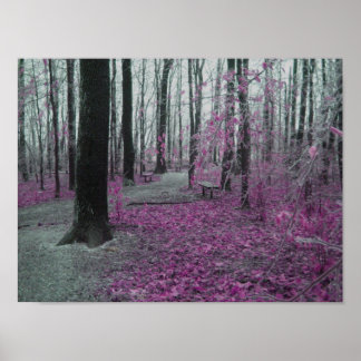 Poster Forêt d'hiver