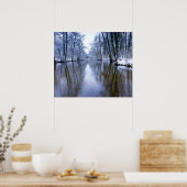 Poster Forêt d'hiver avec beau ruisseau (Cuisine)