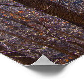 Poster Forêt d'hiver colorée à l'affiche de l'aube (Coin)