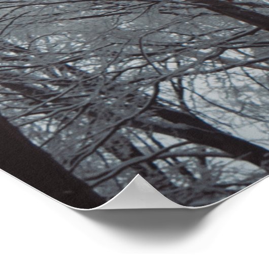 Poster Forêt d'hiver de Foggy (Coin)