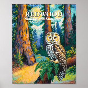 Poster Forêt du Parc National de Redwood dans le style Va