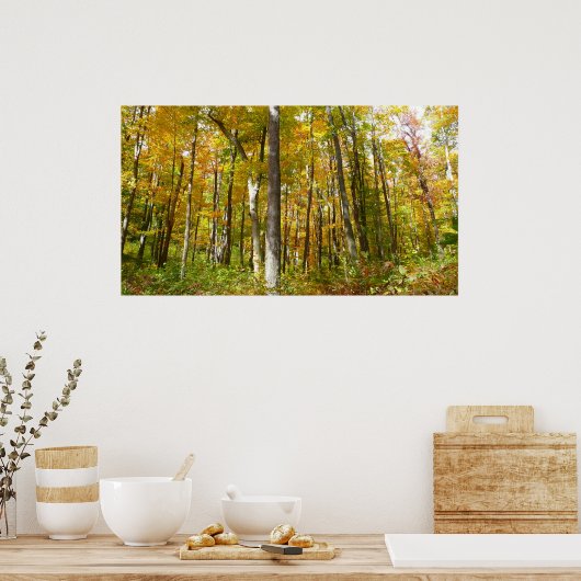Poster Forêt du paysage d'automne Feuille Jaune (Cuisine)