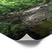 Poster Forêt du Suriname (Coin)