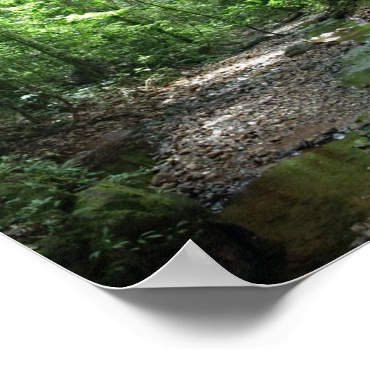 Poster Forêt du Suriname (Coin)