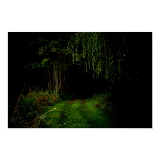 Poster Forêt éffrayante (Devant)