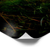 Poster Forêt éffrayante (Coin)