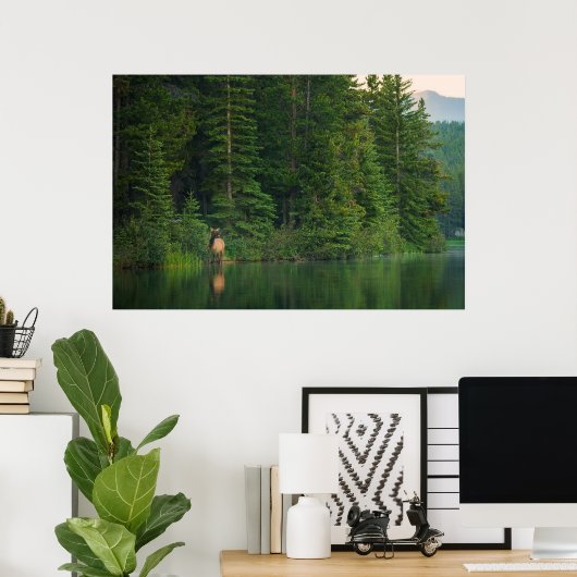 Poster Forêt | Elk au parc national Banff Alberta (Bureau à domicile)