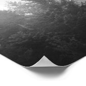 Poster Forêt embrumée noire et blanche aux reflets (Coin)