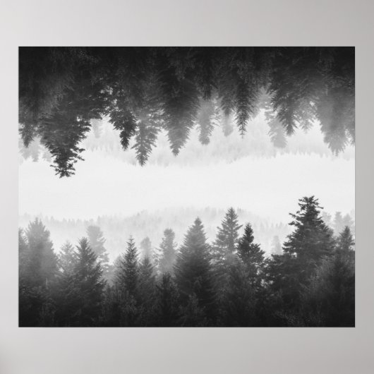 Poster Forêt embrumée noire et blanche aux reflets (Devant)