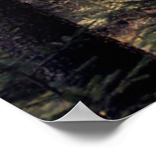 Poster Forêt en Bavière (Coin)