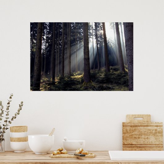 Poster Forêt en Bavière (Cuisine)