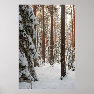 Poster Forêt en hiver