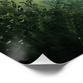 Poster Forêt enchantée (Coin)