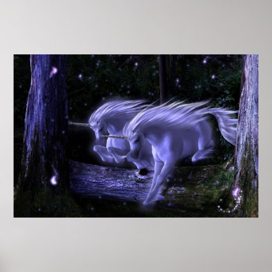 Poster Forêt enchantée (Devant)
