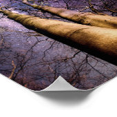 Poster Forêt enchantée (Coin)