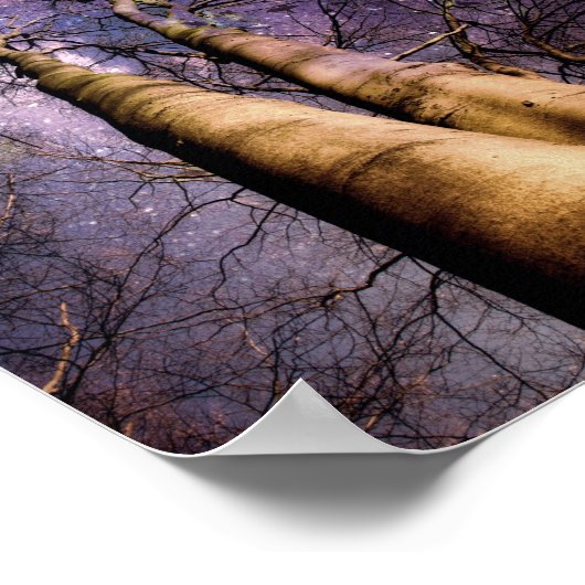 Poster Forêt enchantée (Coin)