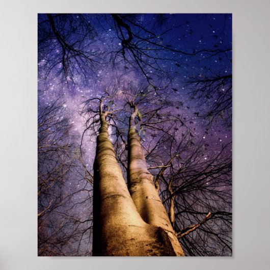 Poster Forêt enchantée (Devant)