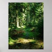 Poster forêt enchanteresse (Devant)
