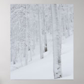 Poster Forêt enneigée paradis hivernal (Devant)