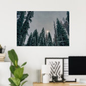 Poster Forêt enneigée sereine et soleil (Bureau à domicile)