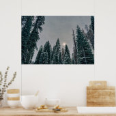 Poster Forêt enneigée sereine et soleil (Cuisine)