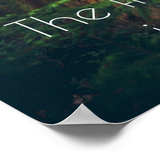 Poster Forêt estivale paisible (Coin)