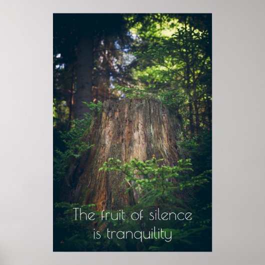 Poster Forêt estivale paisible (Devant)