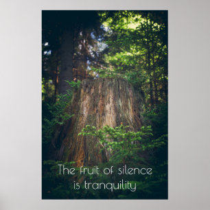 Poster Forêt estivale tranquille