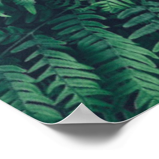 Poster Forêt | Fermes des bois (Coin)