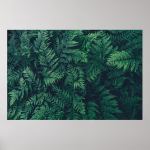 Poster Forêt   Fermes des bois