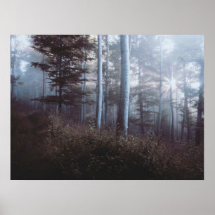 Poster Forêt foncée Imprimer l'affiche Peinture murale