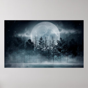 Poster Forêt foncée. Scène sombre et sombre avec des arbr