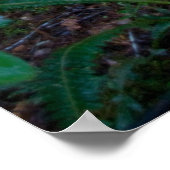 Poster Forêt forestière (Coin)