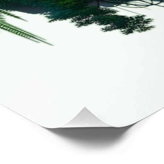 Poster Forêt forestière (Coin)