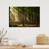 Poster Forêt | Forêt d'automne (Cuisine)