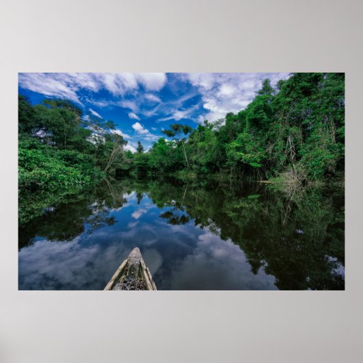 Poster Forêt | Forêt de la jungle péruvienne (Devant)