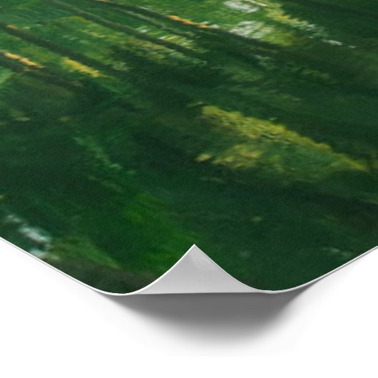 Poster Forêt | Forêt de mangrove (Coin)