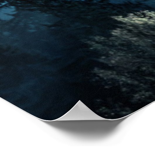 Poster Forêt | Forêt Lune (Coin)