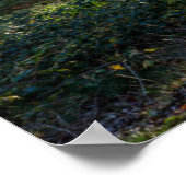 Poster Forêt | Forêt Noire Allemagne (Coin)