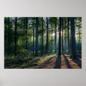 Poster Forêt | Forêt Noire Allemagne (Devant)