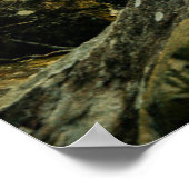 Poster Forêt | Forêt tropicale de la Jungle (Coin)