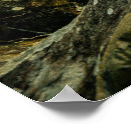 Poster Forêt | Forêt tropicale de la Jungle (Coin)