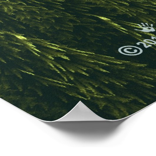 Poster Forêt fractale (Coin)