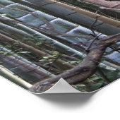 Poster Forêt géante japonaise de bambou, Sagano, Kyoto, J (Coin)