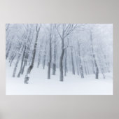 Poster Forêt gelée enneigée en hiver (Devant)