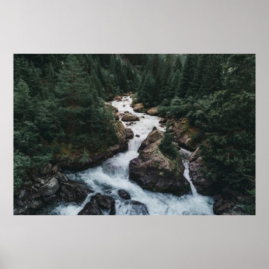 Poster Forêt | Grison Graubunden Canton (Devant)