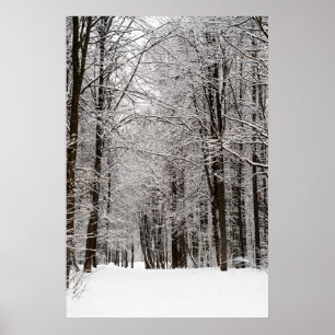 Poster Forêt hivernale
