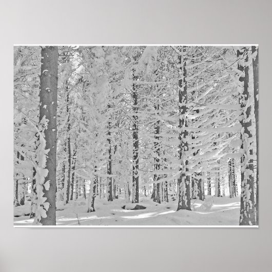 Poster forêt hivernale (Devant)