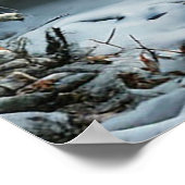 Poster Forêt hivernale (Coin)